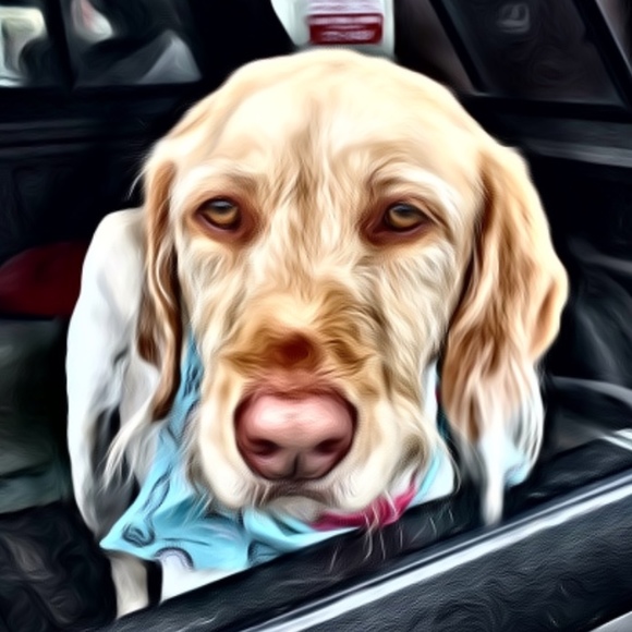 jennbodie